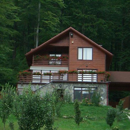 Villa Mara Sinaia Exterior photo